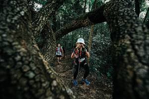 BIB: 
                            <button type="button" onclick="openModal(25392364)" class="btn btn-primary btn-sm float-right btn-popup" data-toggle="modal" data-target=".modal-high-quality">
                        <i class="fas fa-shopping-cart"></i> Add to Cart
                    </button>
                                            <button type="button" onclick="isThisMe(25392364, true)" class="btn btn-success btn-sm float-right btn-popup btn-isme hidden" data-toggle="tooltip" data-placement="bottom" title="นี่คือรูปของคุณใช่ไหม คลิกที่นี่เพื่อเอาเข้าอัลบั้ม">
                        <i class="fas fa-plus"></i> Add to album
                    </button>
                    <button type="button" onclick="isThisMe(25392364, false)" class="btn btn-warning btn-sm float-right btn-popup btn-isnotme hidden">
                        <i class="fas fa-ban"></i> Remove from album
                    </button>